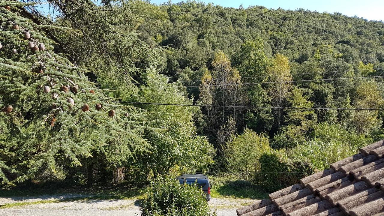 Le Clos Du Cedre Saint-Sebastien  Екстер'єр фото